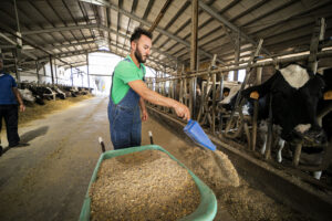 Azienda Agricola Bruna Nuova