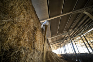 La Bruna Società Agricola Srl