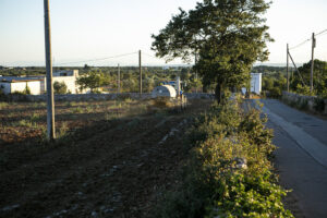 La Bruna Società Agricola Srl