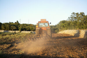 La Bruna Società Agricola Srl