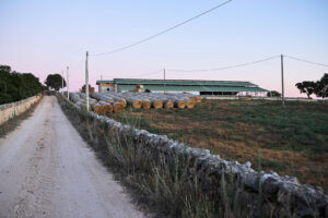 La Bruna Società Agricola Srl