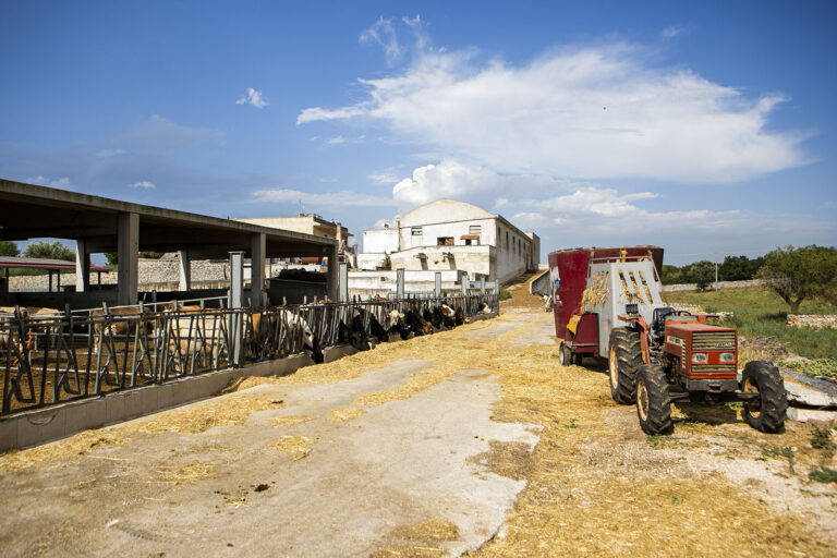 Società Agricola Semplice Lagomila